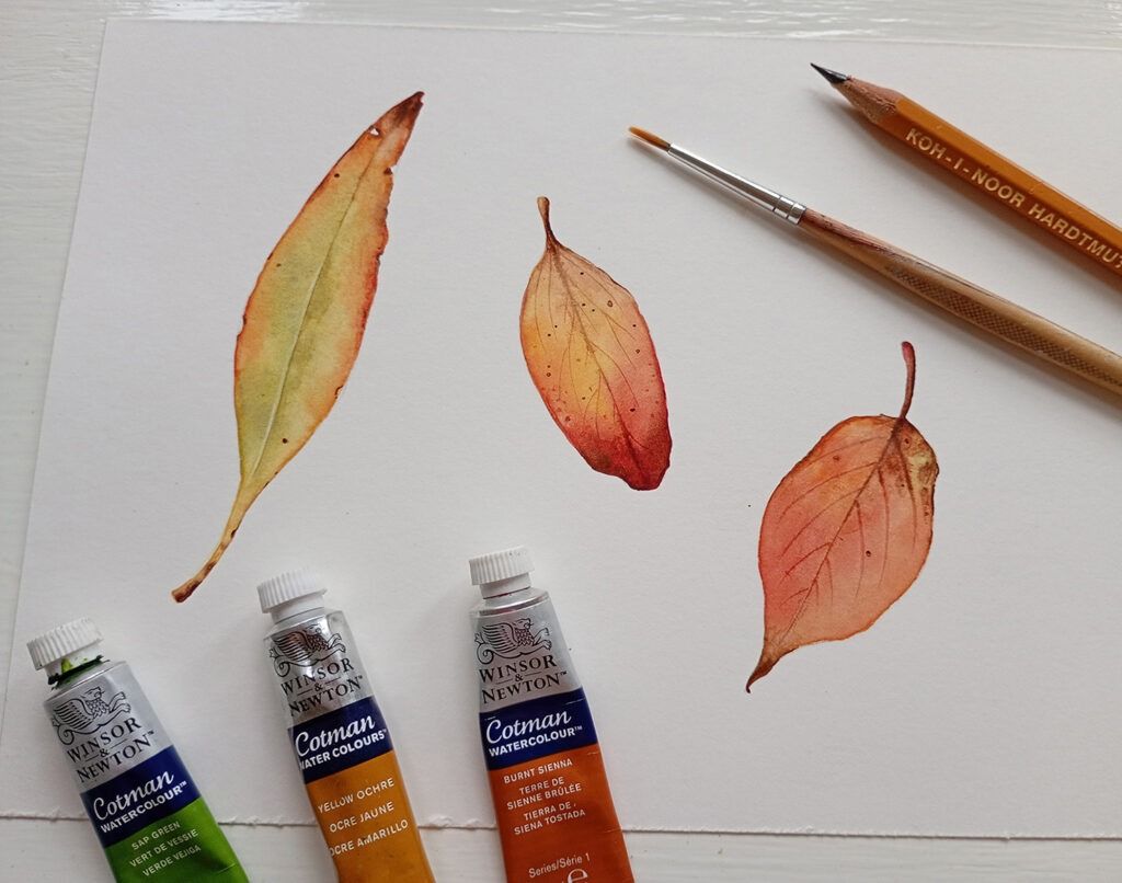 Watercolour Autumn Treasures